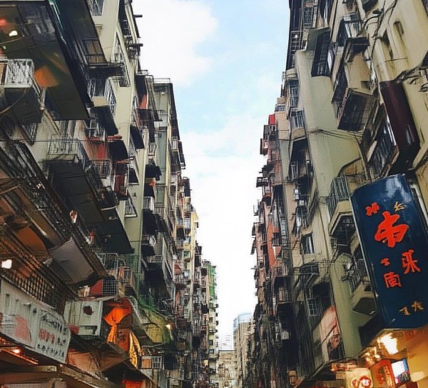 品质与活力，崇阳国际商贸城新机遇